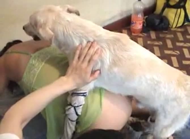 Video :Curvy babe bends over ass to have dog sex